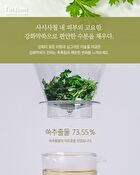 Mugwort Cream - 2019 Version - 50g