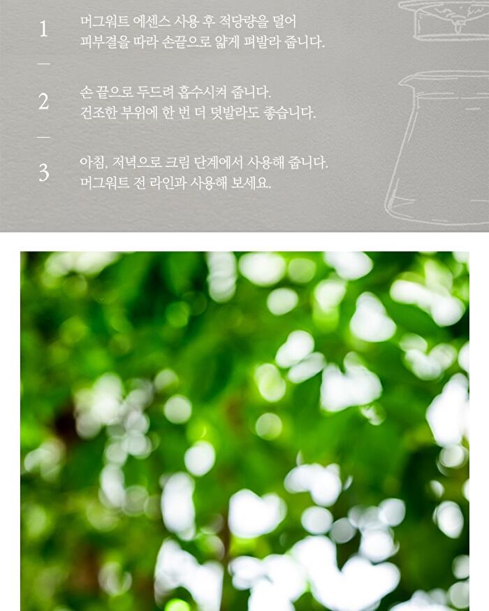 Mugwort Cream - 2019 Version - 50g