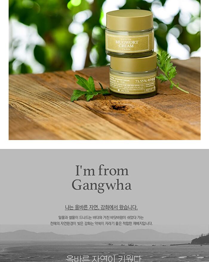 Mugwort Cream - 2019 Version - 50g