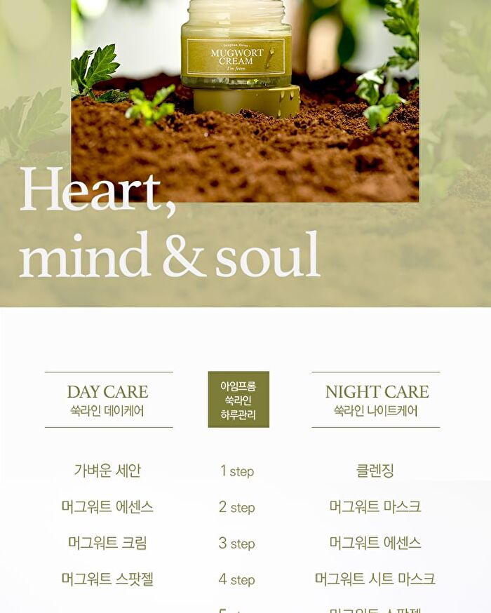 Mugwort Cream - 2019 Version - 50g
