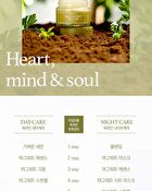 Mugwort Cream - 2019 Version - 50g