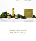Mugwort Cream - 2019 Version - 50g