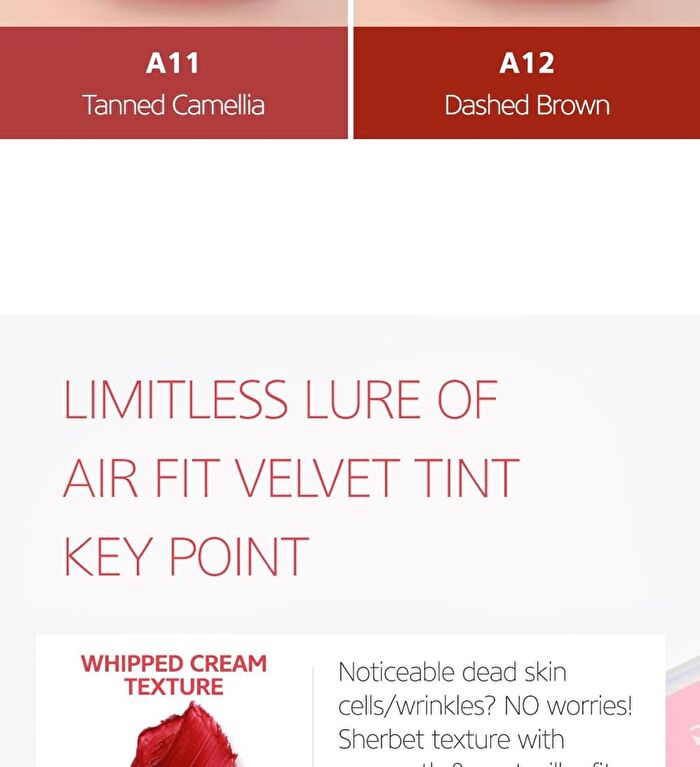 Black Rouge Air Fit Velvet Tint SEASON 2 - 5 Colors - #A09 Sweet Cinnamon