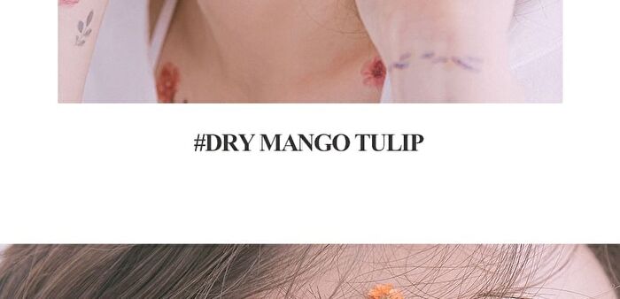 romand Better Than Eyes - 3 Types - #01 Dry Mango Tulip