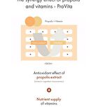 Dr. Ceuracle Royal Vita Propolis 33 Ampoule - 15ml