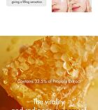 Dr. Ceuracle Royal Vita Propolis 33 Ampoule - 15ml