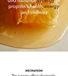 Dr. Ceuracle Royal Vita Propolis 33 Ampoule - 15ml