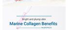 Witch Piggy Hell Pore Marine Collagen Ample - 50ml