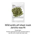 Mild Acidic pH Sheet Mask Set - 6 Types - Honey Fit