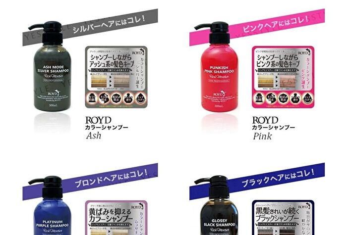 Royd Color Shampoo - Purple - 300ml