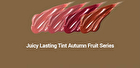 romand Juicy Lasting Tint Autumn Fruit Series - 4 Colors - #11 Pink Pumpkin