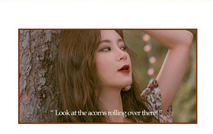 romand Juicy Lasting Tint Autumn Fruit Series - 4 Colors - #13 Eat Dotori