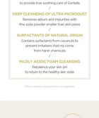SKIN1004 Madagascar Centella Ampoule Foam - 125ml