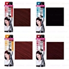 Dariya Salon De Pro Gray Hair Color Touch - Natural Black