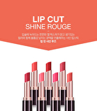 Vdivov Lip Cut Shine Rouge - 10 Colors - BB801 Filter Beige