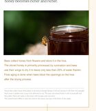 Honey Glow Cream - 50g