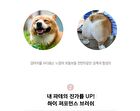 Super Soft Face Brush - 1 pc