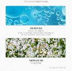Healing Tea Garden Cleansing Foam - 4 Types - White Tea