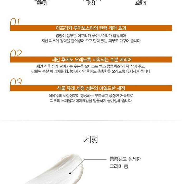 Healing Tea Garden Cleansing Foam - 4 Types - White Tea
