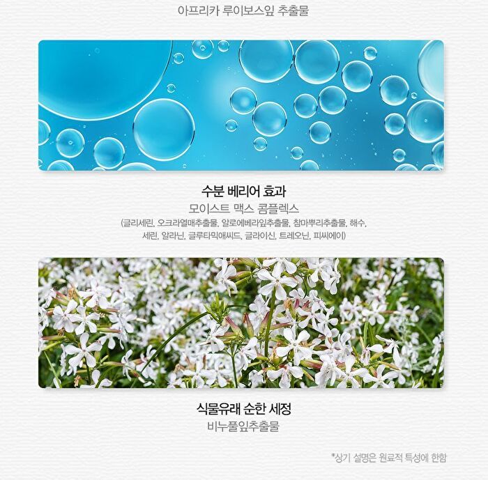 Healing Tea Garden Cleansing Foam - 4 Types - White Tea