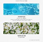 Healing Tea Garden Cleansing Foam - 4 Types - White Tea