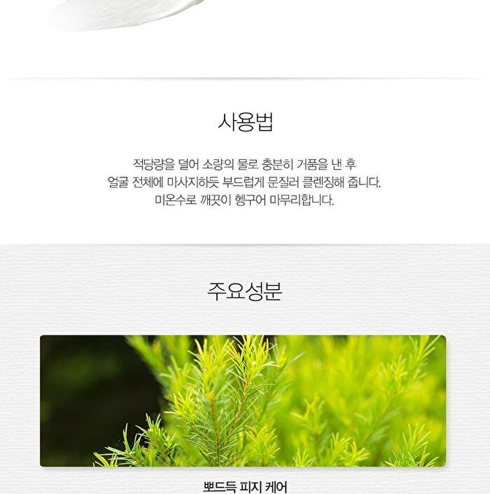Healing Tea Garden Cleansing Foam - 4 Types - White Tea
