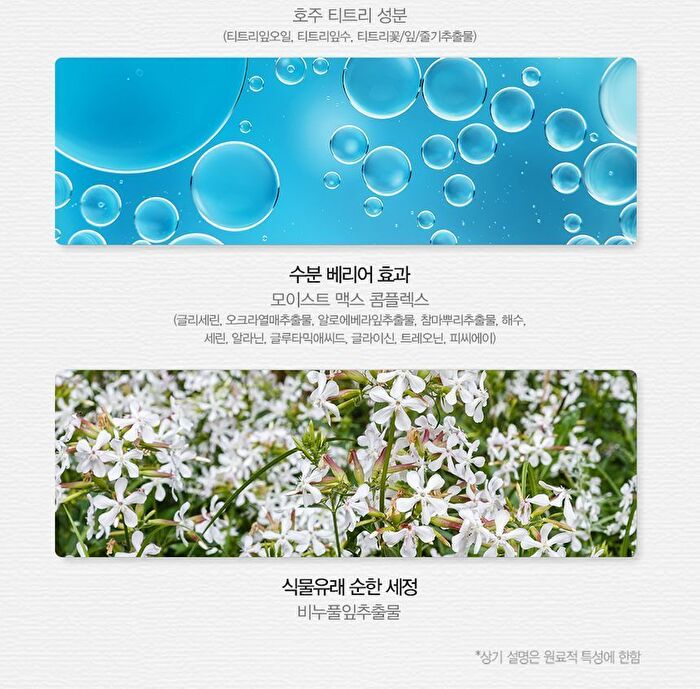 Healing Tea Garden Cleansing Foam - 4 Types - White Tea