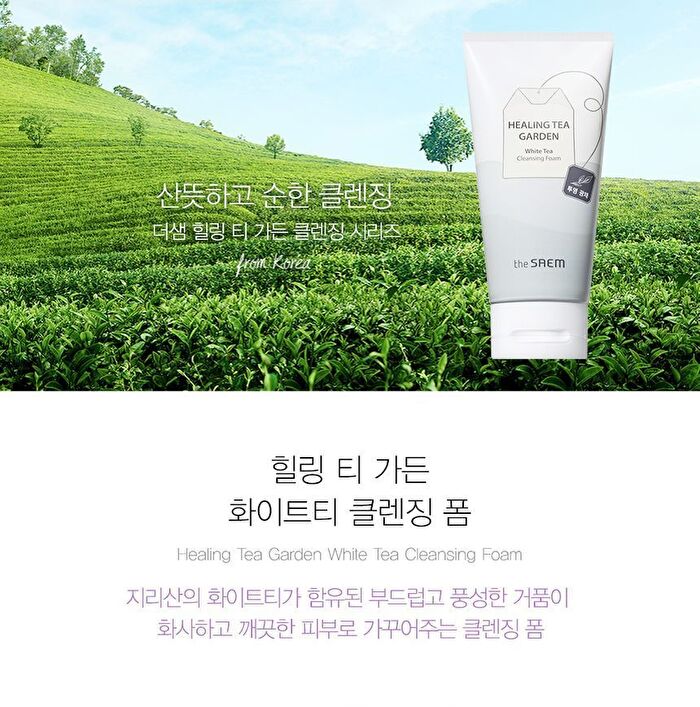 Healing Tea Garden Cleansing Foam - 4 Types - White Tea