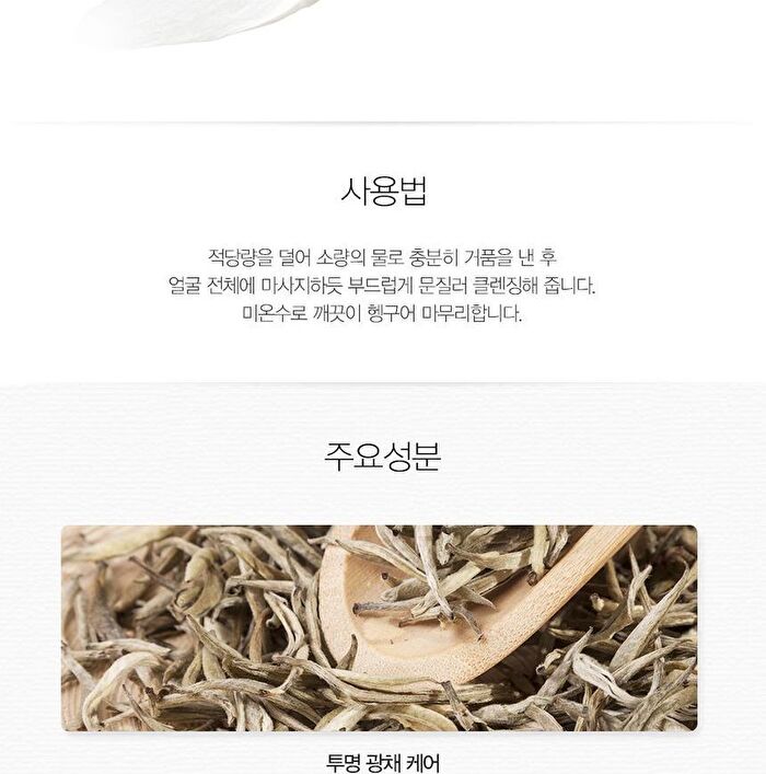 Healing Tea Garden Cleansing Foam - 4 Types - White Tea