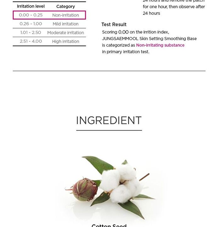 Skin Setting Smoothing Base - 40ml