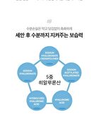 Labiotte Premium Collagen Full Up Cleansing Foam - 200ml