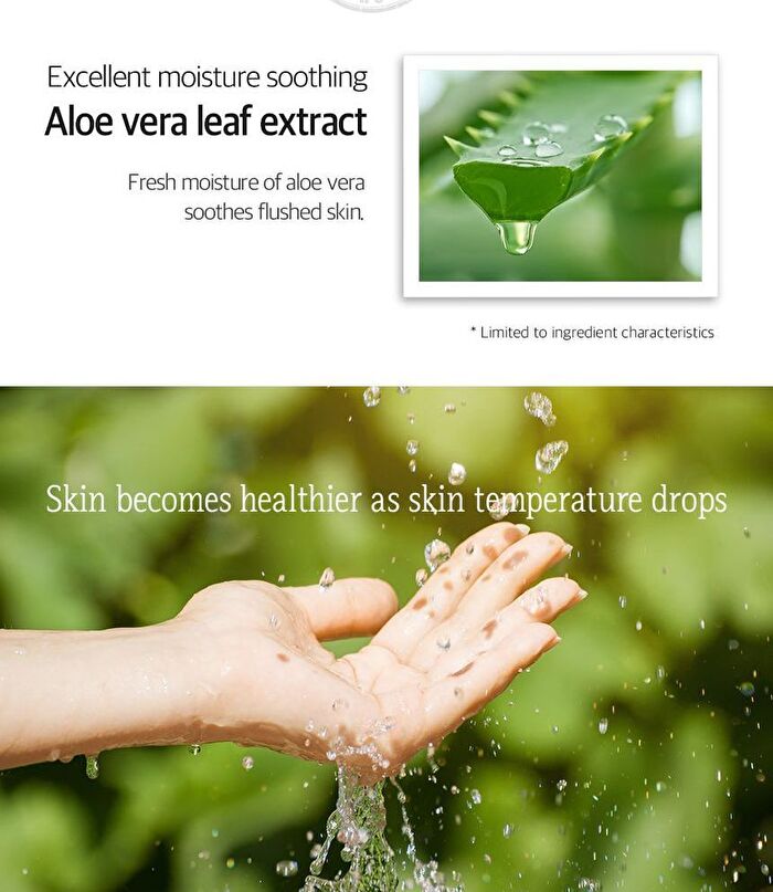 Petitfee Artichoke Soothing Hydrogel Eye Mask - 30 pairs