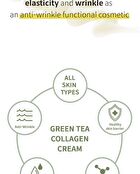 the SKIN HOUSE Green Tea Collagen Cream - 50ml