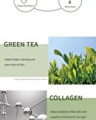 the SKIN HOUSE Green Tea Collagen Cream - 50ml
