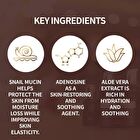 the SKIN HOUSE Wrinkle Snail System Cream JUMBO - 100ml