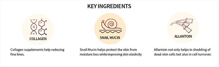 the SKIN HOUSE Wrinkle System Cream - 50g
