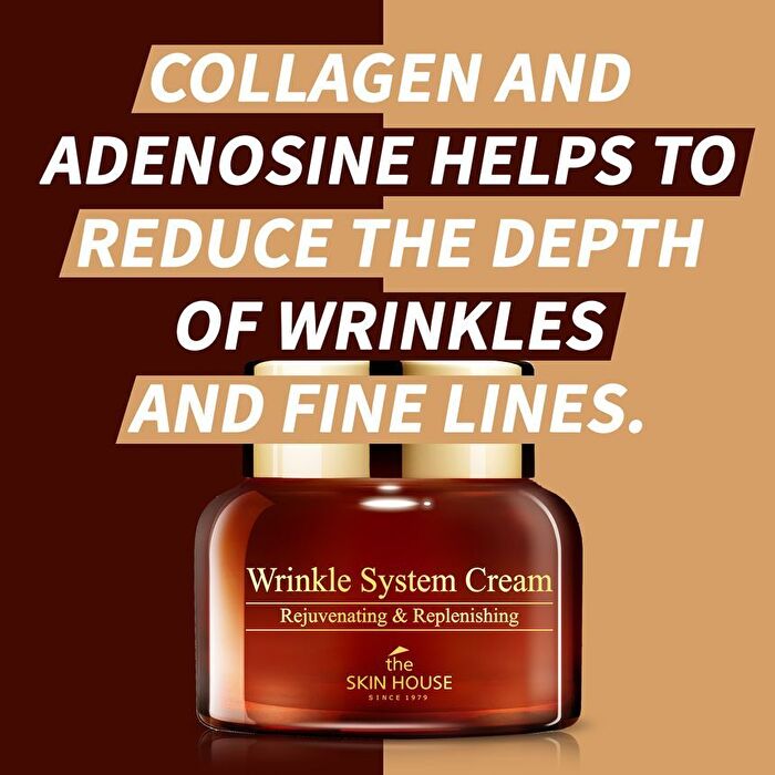 the SKIN HOUSE Wrinkle System Cream - 50g