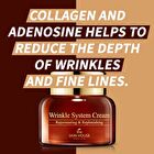 the SKIN HOUSE Wrinkle System Cream - 50g