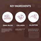 the SKIN HOUSE Wrinkle Collagen Cream - 50ml