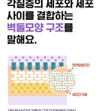 Isoi Waterfull Cream - 50ml