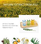 ARONYX Hyaluronic Acid Ampoule - 50ml