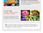 Special Treatment Skin Mask - 4 Types - Multi Vitamin