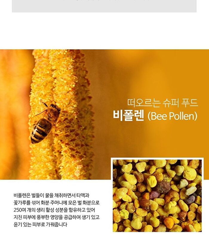 Bee Pollen Propolis Ampoule - 50ml