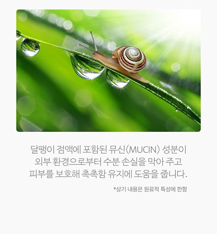 Scinic Snail Matrix Essence - 50ml