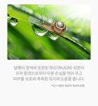 Scinic Snail Matrix Essence - 50ml