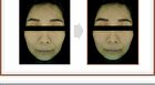 Fork Eyebrow Tint - 4 Colors - #04 Grey Black