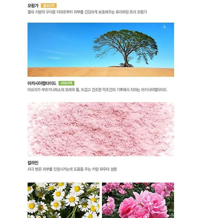 Eco Earth Pink Sun Cream - 50g