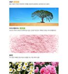 Eco Earth Pink Sun Cream - 50g