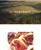Fig Boosting Essence - 150ml