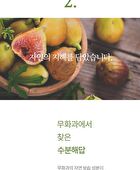Fig Boosting Essence - 150ml